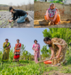 women in agriculture